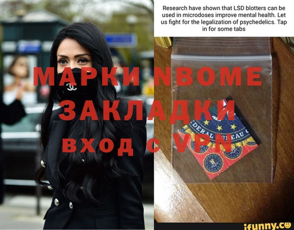 сатива Верея